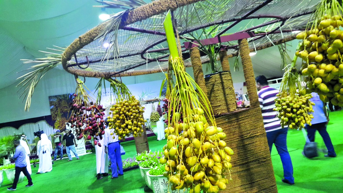 ذاكرة الشرق