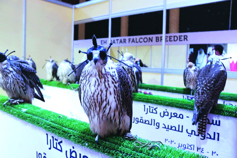 ذاكرة الشرق
